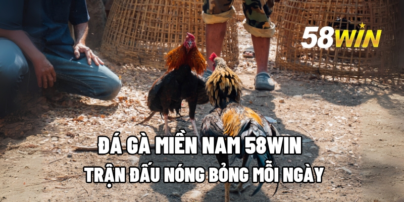 da ga mien nam 1