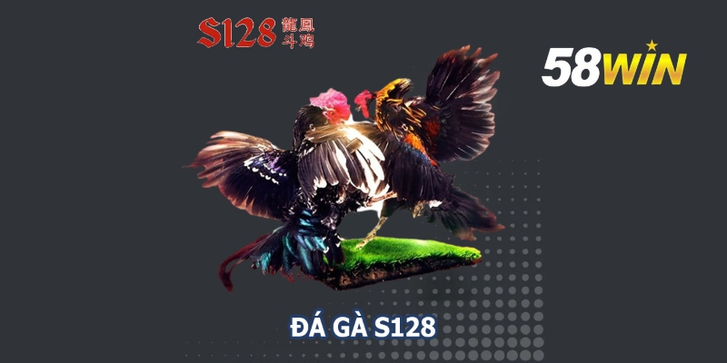 da ga mien nam 4