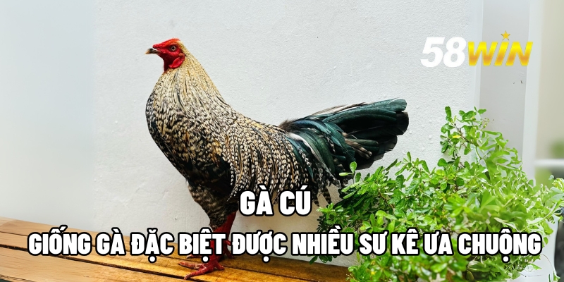 ga cu 1