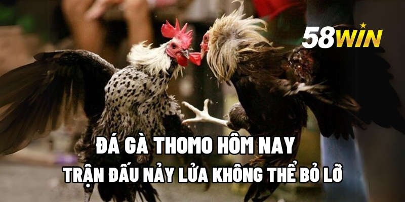 thomo hom nay 1